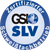 GSI